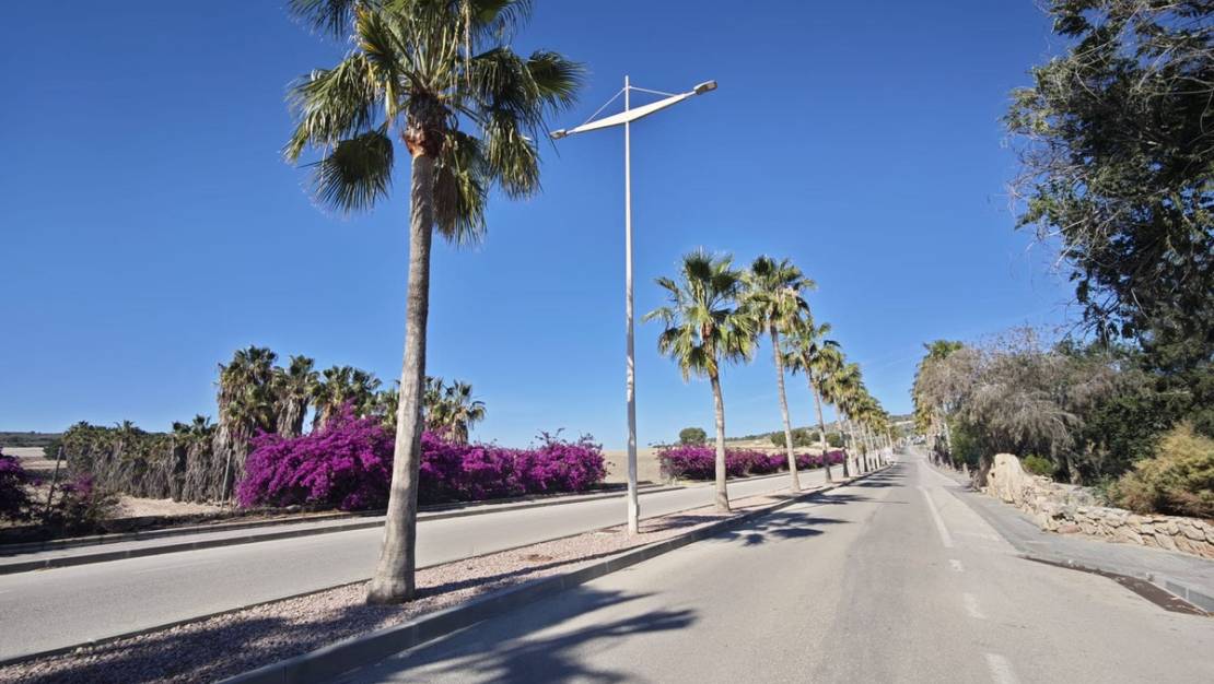 Venta - Chalet - Algorfa - Algorfa Centro