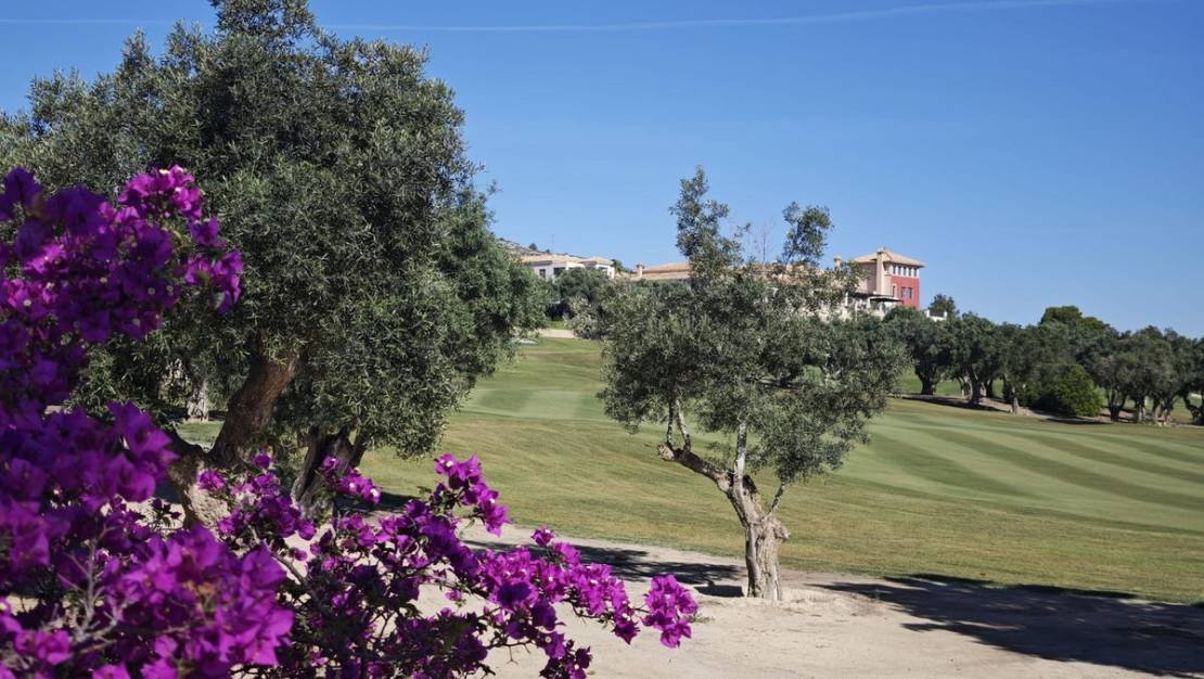 Venta - Chalet - Algorfa - Algorfa Centro