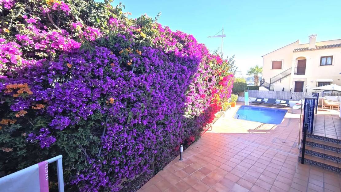Venta - Chalet - Algorfa - Algorfa Centro