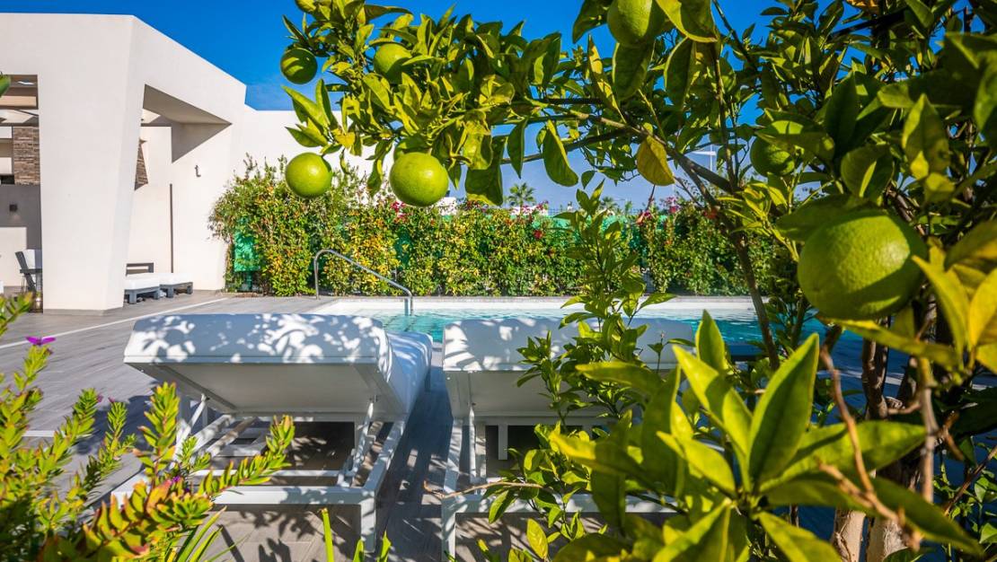 Venta - Chalet - Algorfa - Algorfa Centro