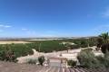 Venta - Chalet - Algorfa - Algorfa Centro