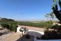 Venta - Chalet - Algorfa - Algorfa Centro