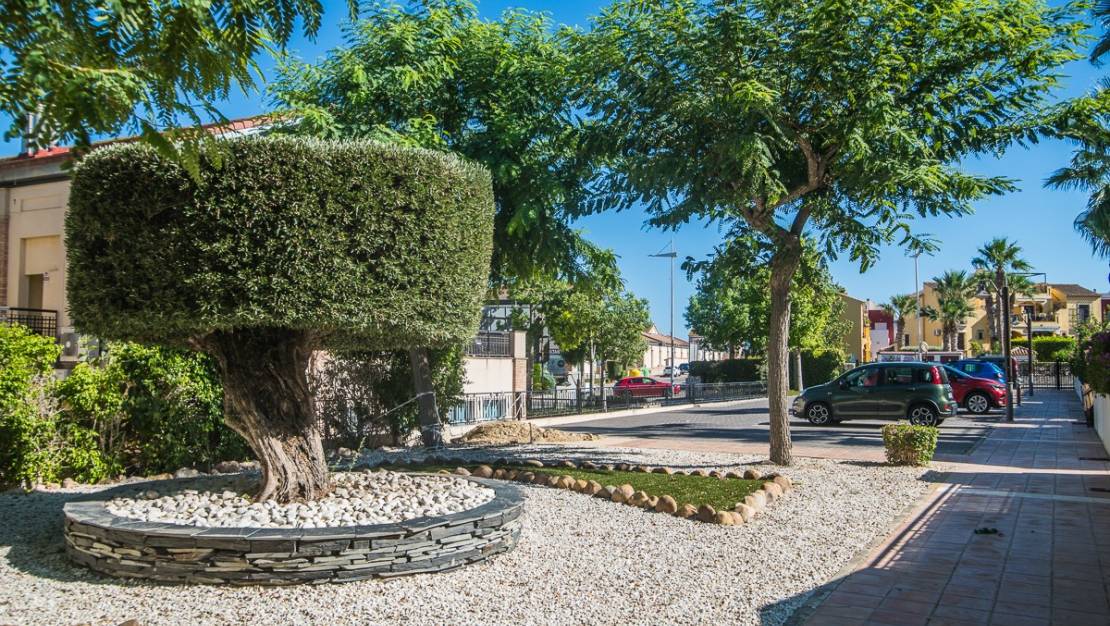 Venta - Chalet - Algorfa - Algorfa Centro