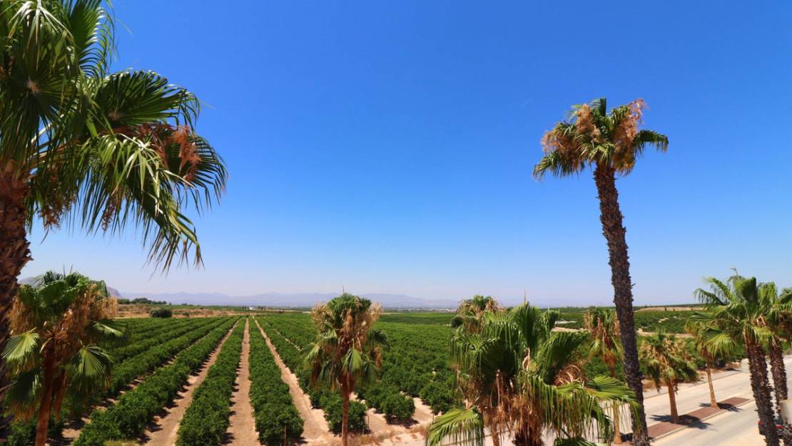 Venta - Chalet - Algorfa - La finca golf