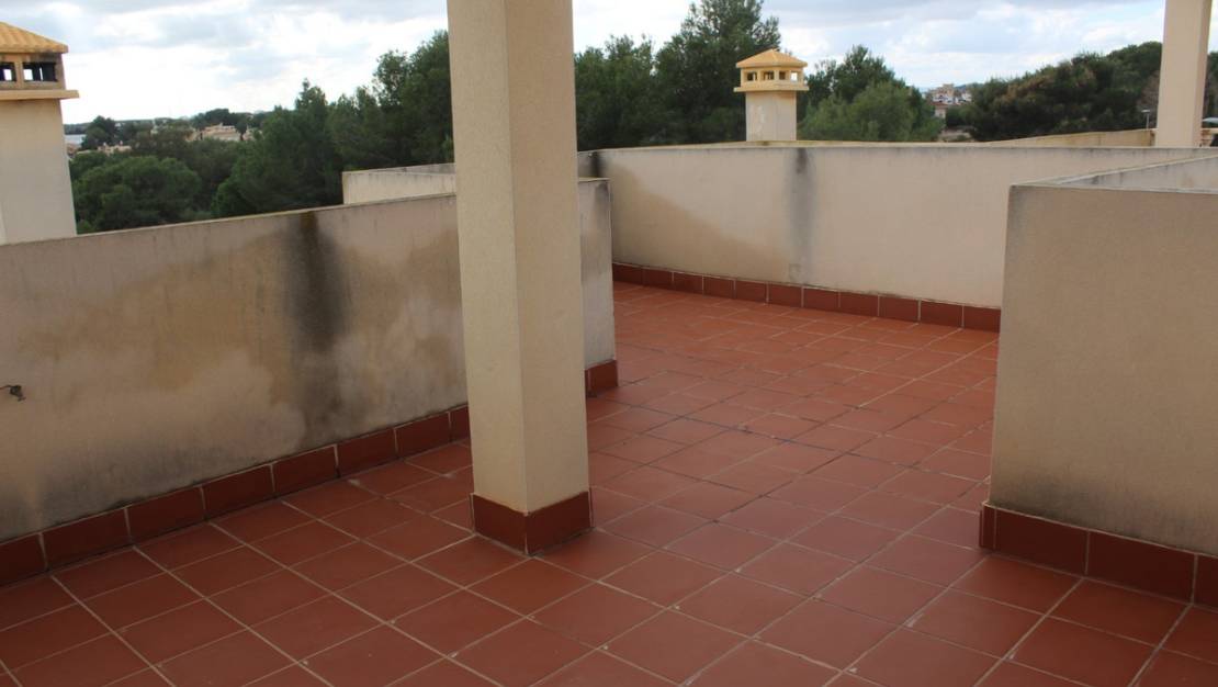 Venta - Chalet - Algorfa - Montemar