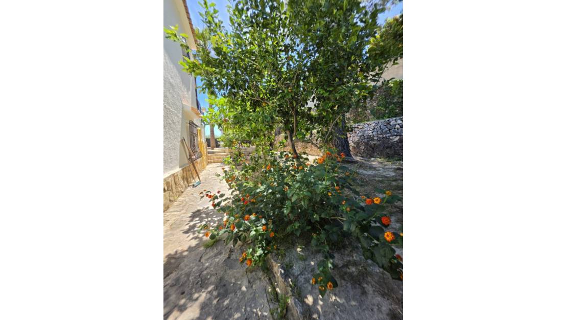 Venta - Chalet - Algorfa - Montemar