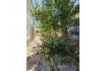 Venta - Chalet - Algorfa - Montemar