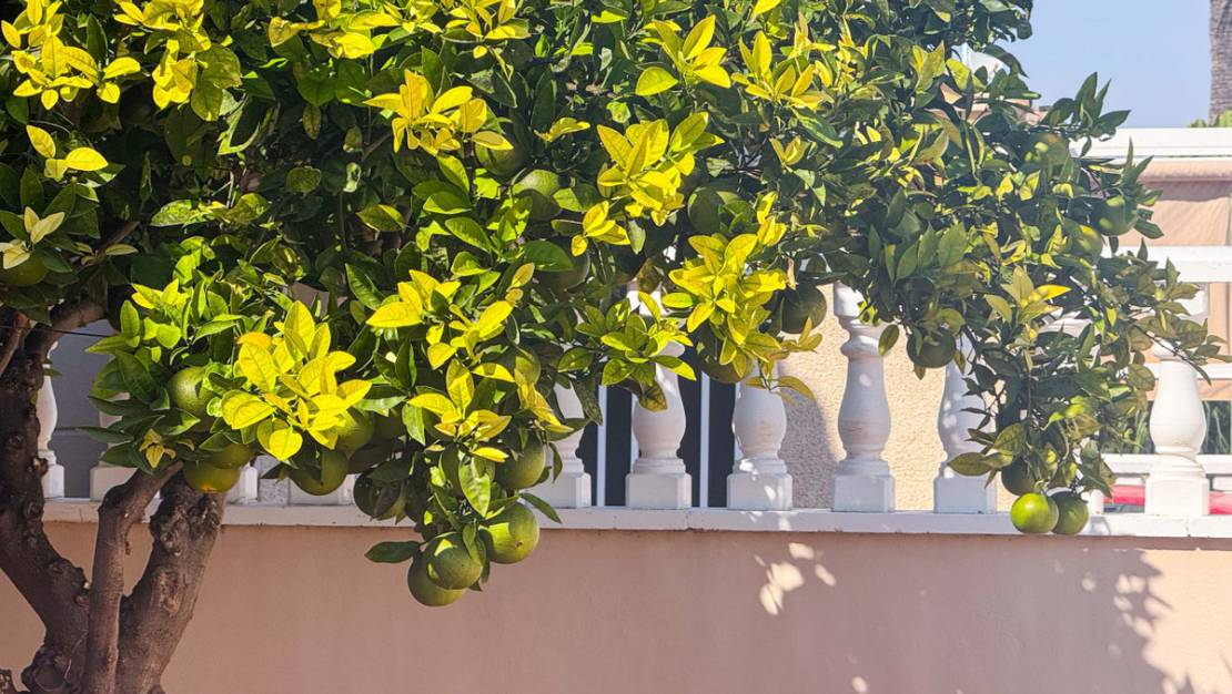 Venta - Chalet - Alicante City - Parque de las Naciones