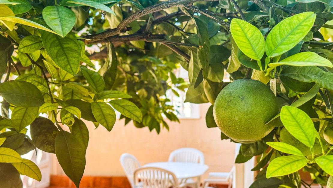 Venta - Chalet - Alicante City - Parque de las Naciones