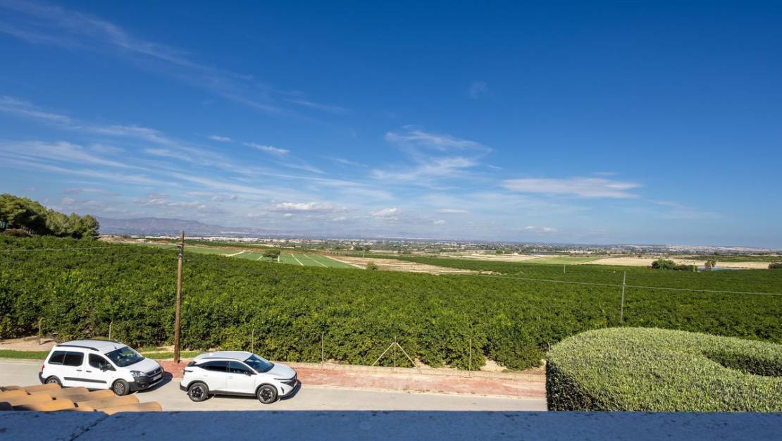 Venta - Chalet - Almoradí - Almoradi Centro