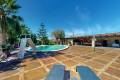 Venta - Chalet - Almoradí