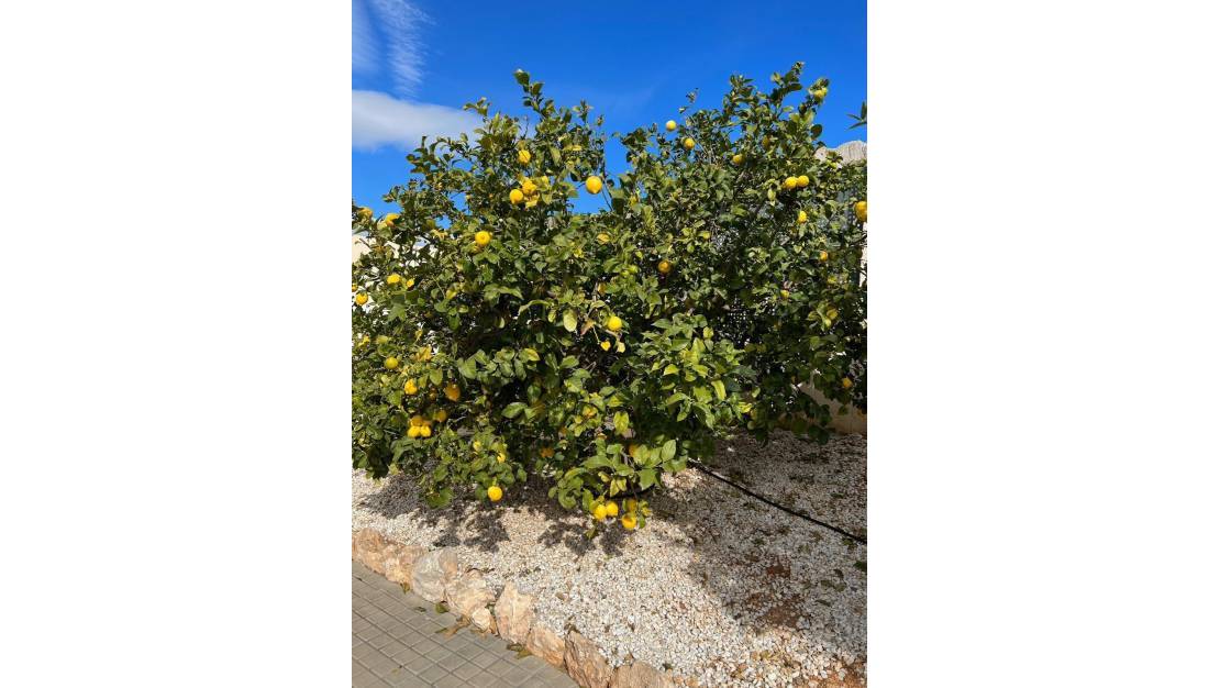 Venta - Chalet - Altea - Altea Centro