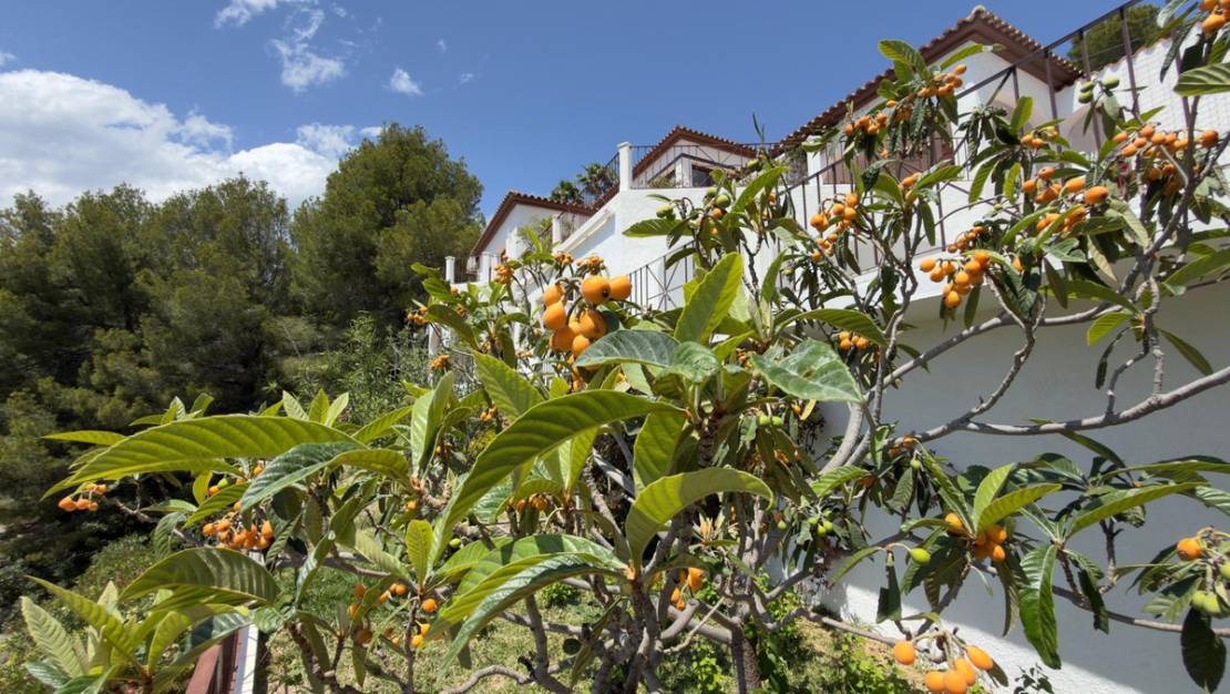Venta - Chalet - Altea - Altea Centro