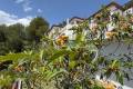Venta - Chalet - Altea - Altea Centro