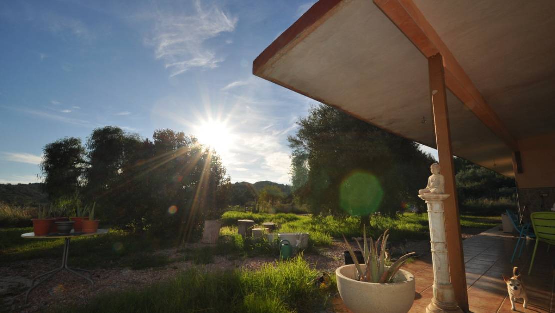 Venta - Chalet - Aspe - Aspe Centro