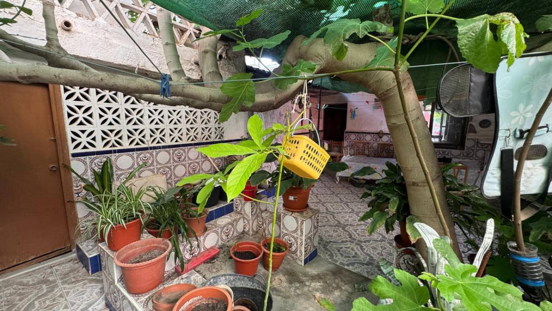 Venta - Chalet - Benejúzar - Benejuzar Centro