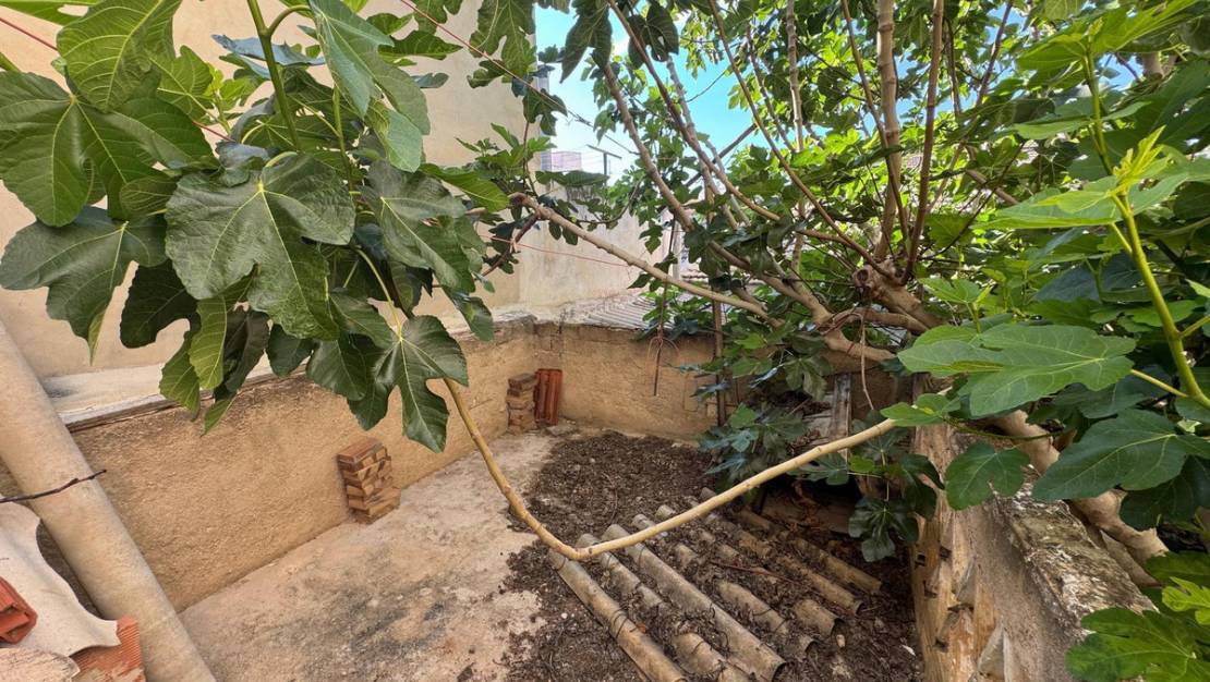 Venta - Chalet - Benejúzar - Benejuzar Centro