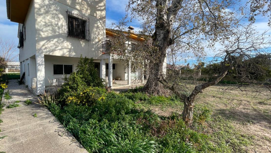 Venta - Chalet - Benejúzar - Benejuzar Centro