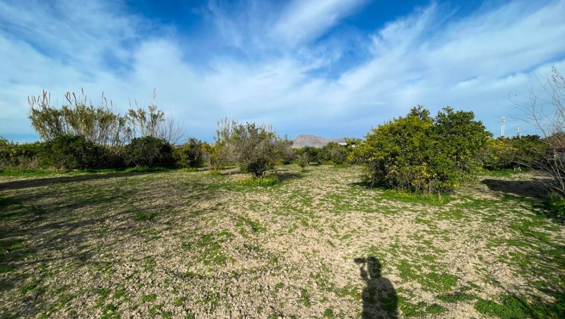 Venta - Chalet - Benejúzar - Benejuzar Centro