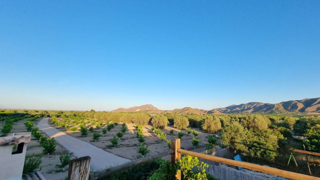 Venta - Chalet - Benferri