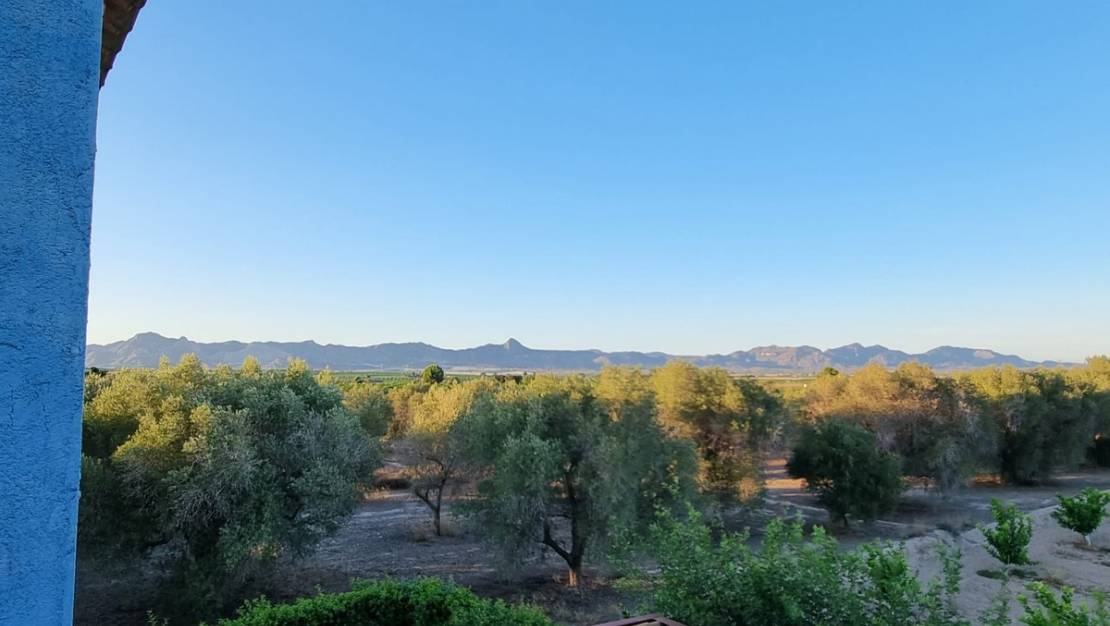 Venta - Chalet - Benferri