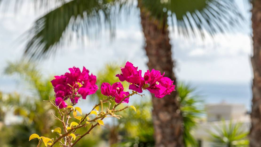 Venta - Chalet - Benissa - Benissa Coast