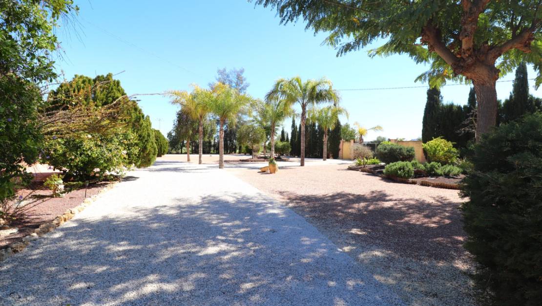 Venta - Chalet - Callosa de Segura - Callosa de Segura Centro