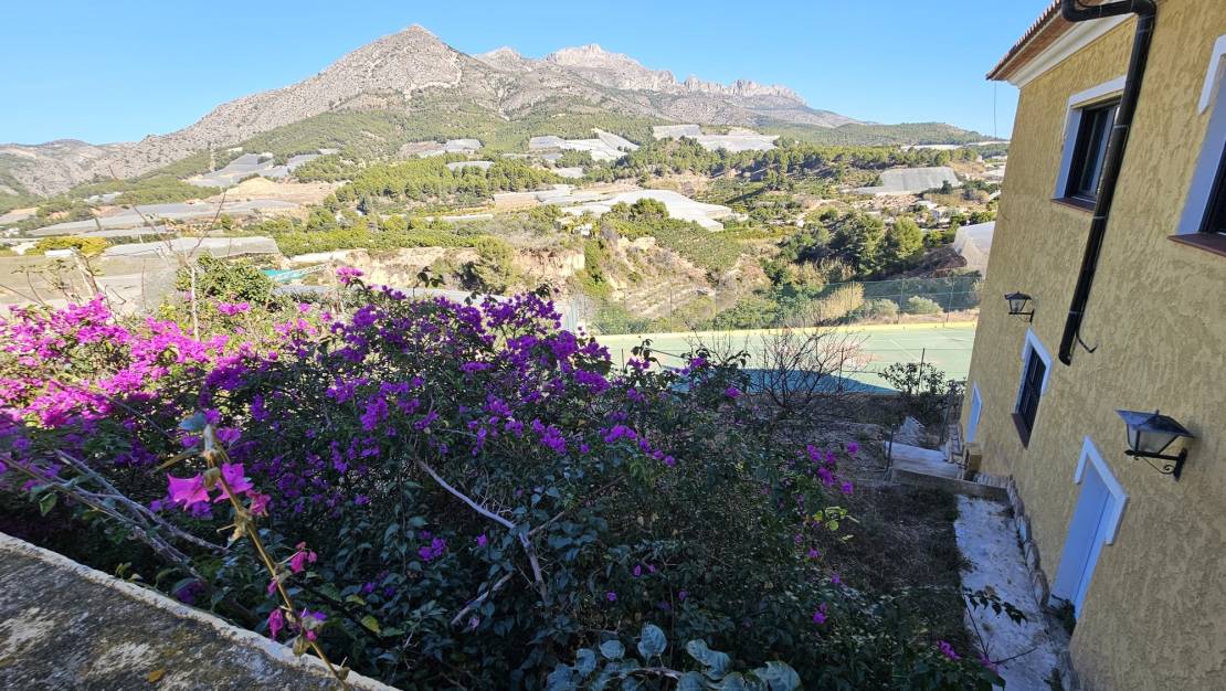 Venta - Chalet - Callosa