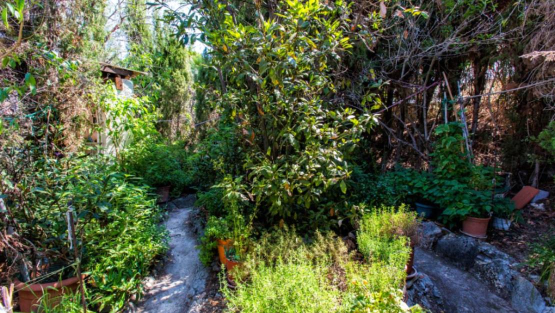 Venta - Chalet - Calpe - Calpe Centro