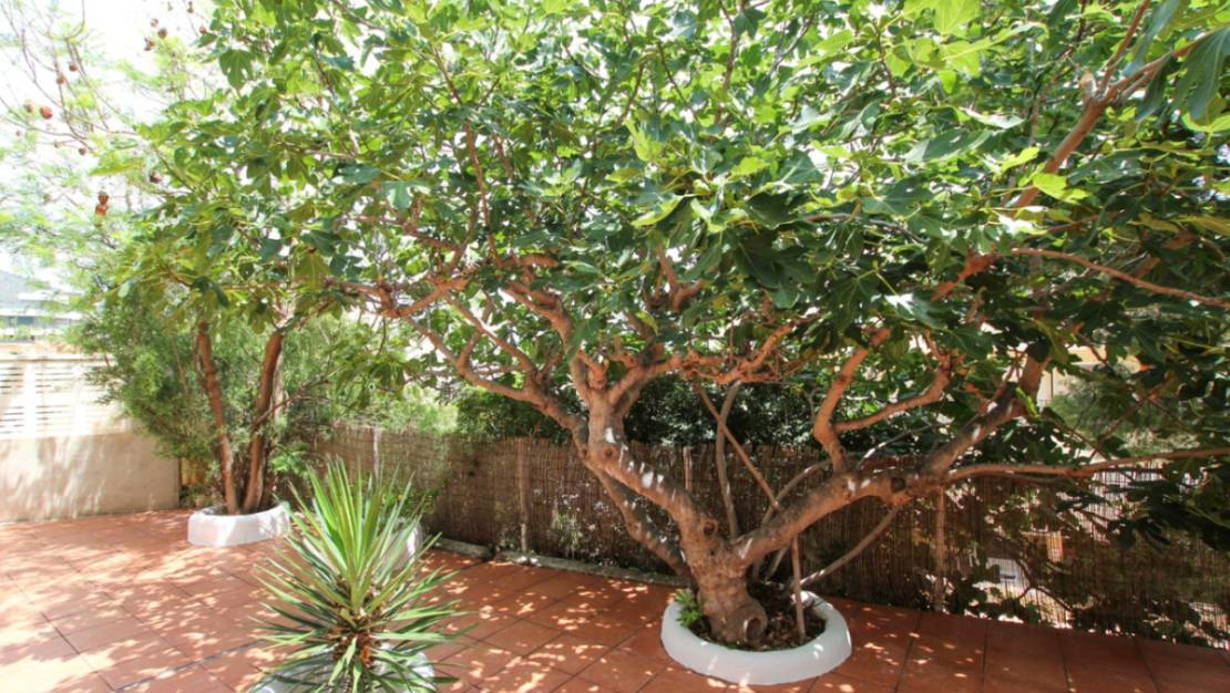 Venta - Chalet - Calpe - Calpe Centro