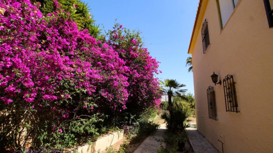 Venta - Chalet - Calpe - Calpe Centro