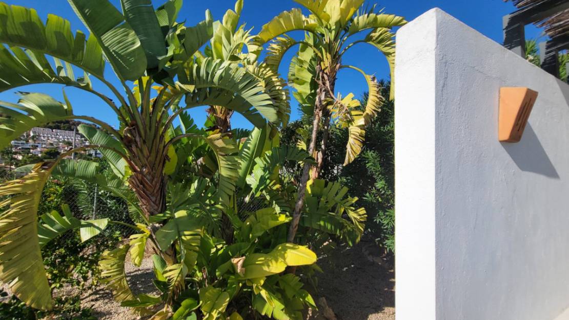 Venta - Chalet - Calpe - Calpe Centro