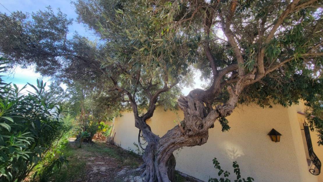 Venta - Chalet - Calpe - Calpe Centro