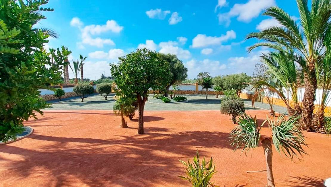 Venta - Chalet - Catral - Catral Centro