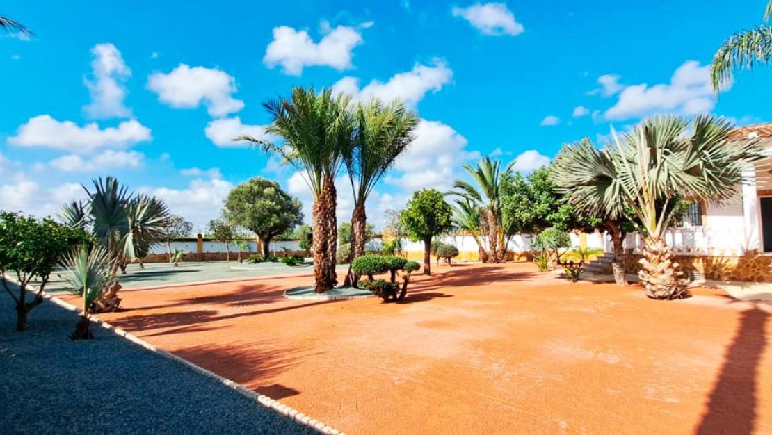 Venta - Chalet - Catral - Catral Centro