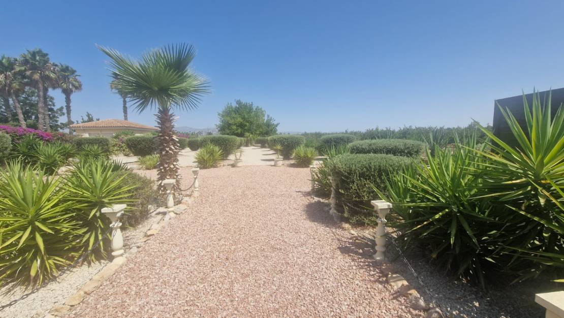 Venta - Chalet - Catral - Catral Centro