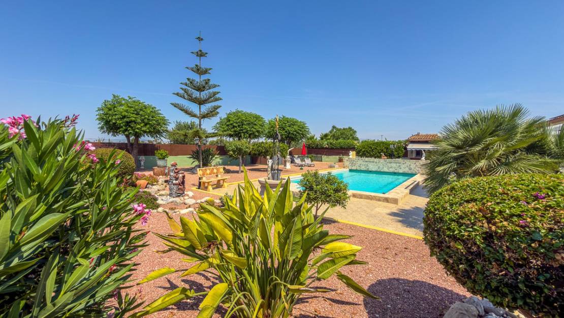 Venta - Chalet - Catral - Catral Centro