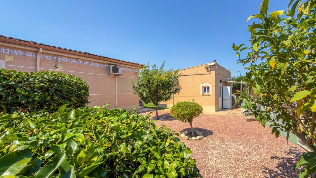 Venta - Chalet - Catral - Catral Centro
