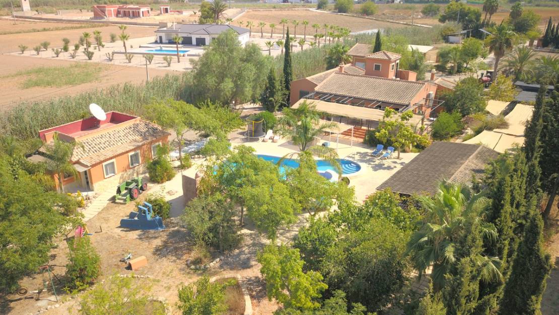 Venta - Chalet - Catral - Catral Centro