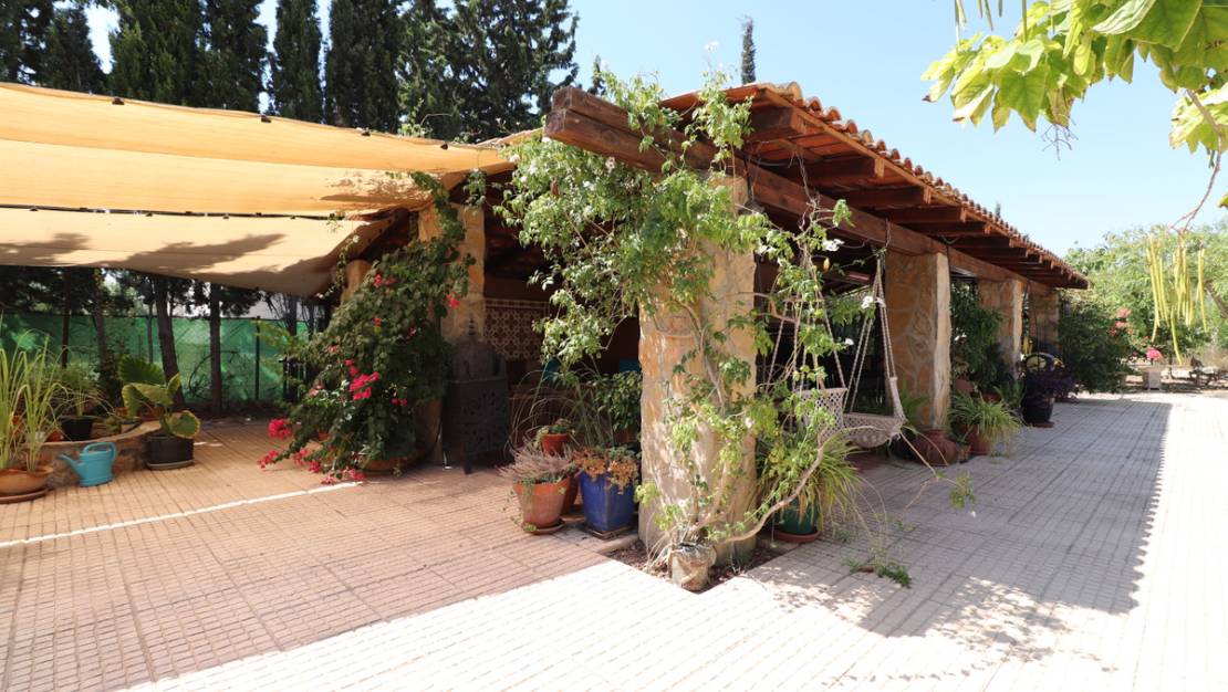 Venta - Chalet - Catral - Catral Centro