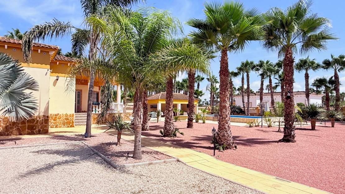 Venta - Chalet - Catral - Catral Centro