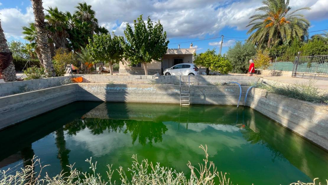 Venta - Chalet - Crevillente - Crevillent - Crevillente - Crevillent Centro