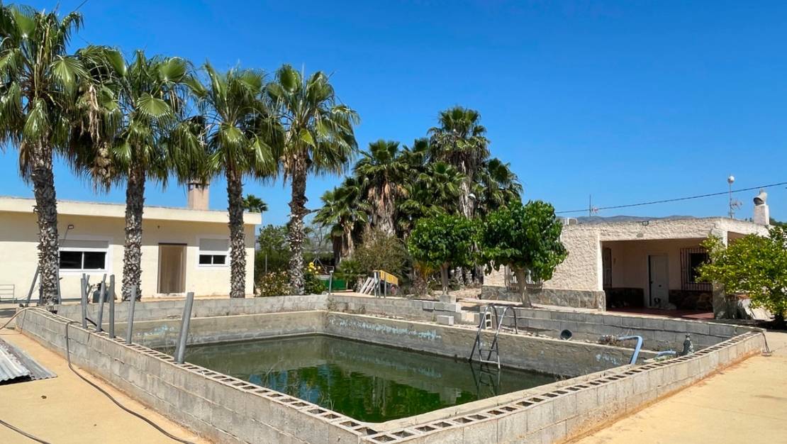 Venta - Chalet - Crevillente - Crevillent - Crevillente - Crevillent Centro