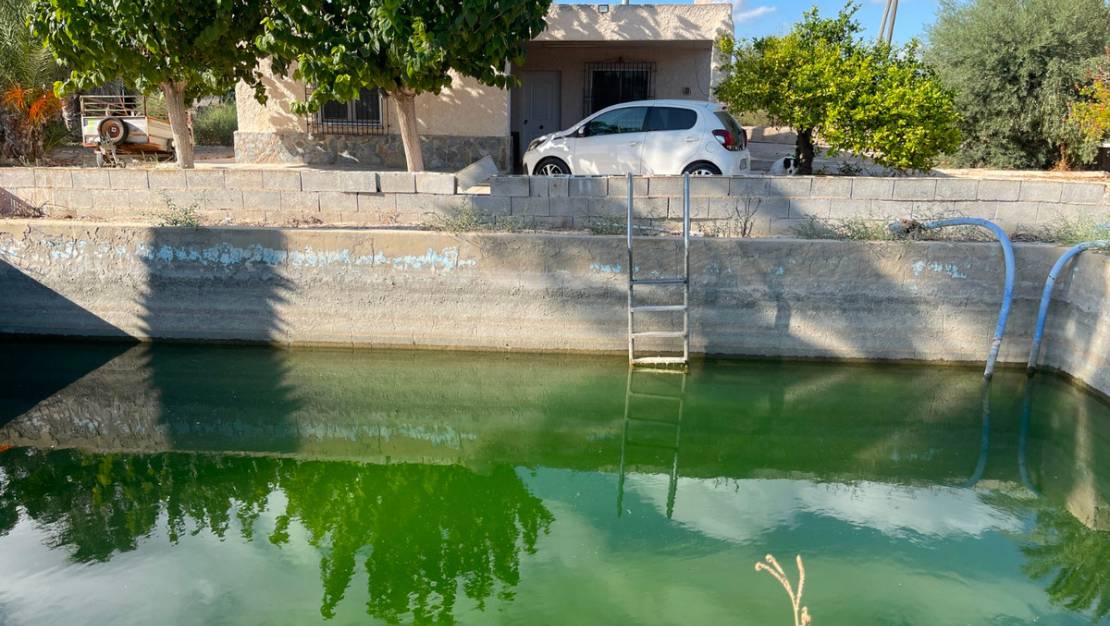 Venta - Chalet - Crevillente - Crevillent - Crevillente - Crevillent Centro