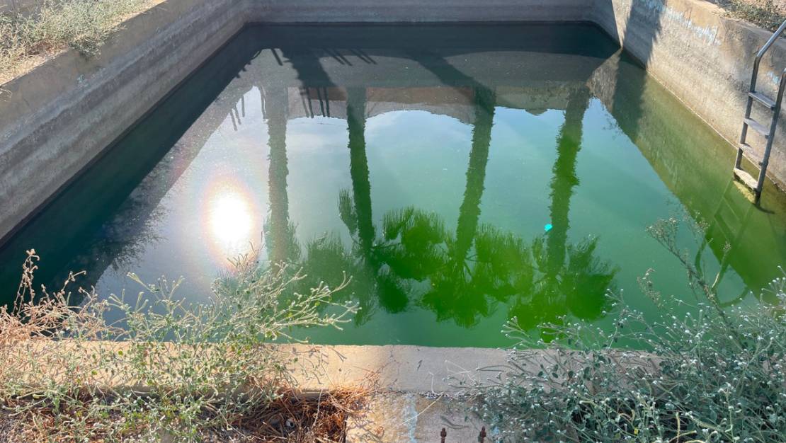 Venta - Chalet - Crevillente - Crevillent - Crevillente - Crevillent Centro