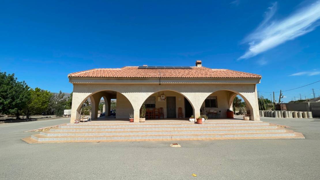 Venta - Chalet - Crevillente - Crevillent - Crevillente - Crevillent Centro