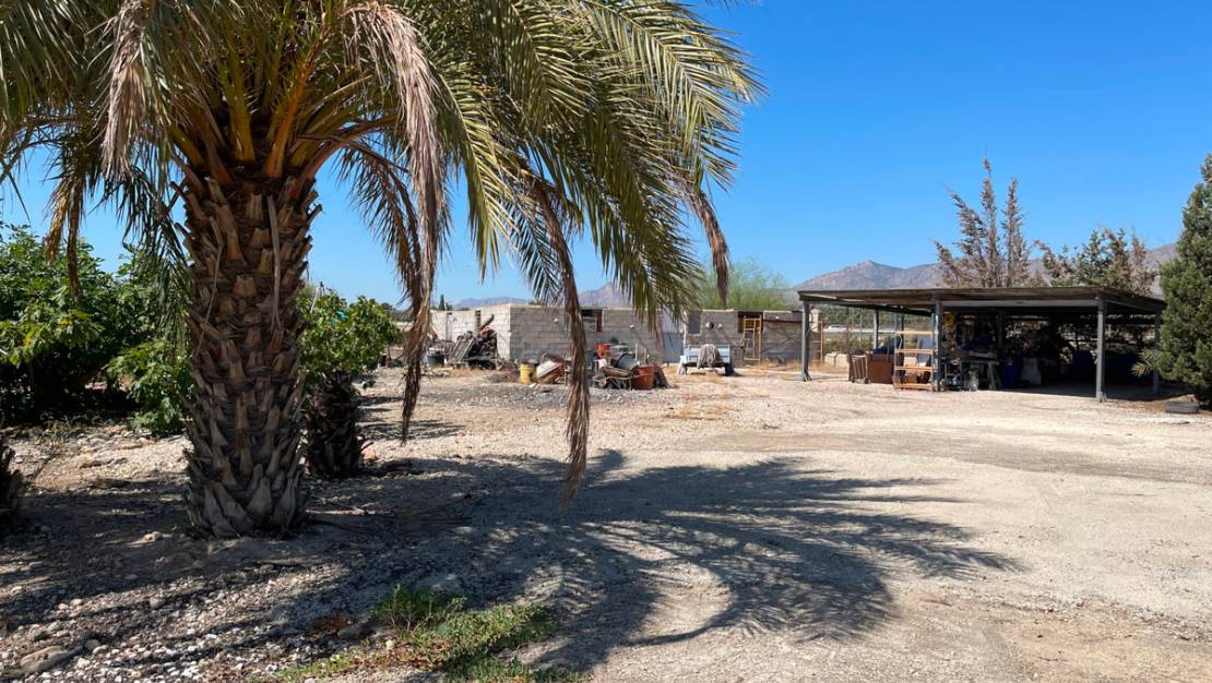 Venta - Chalet - Crevillente - Crevillent - Crevillente - Crevillent Centro