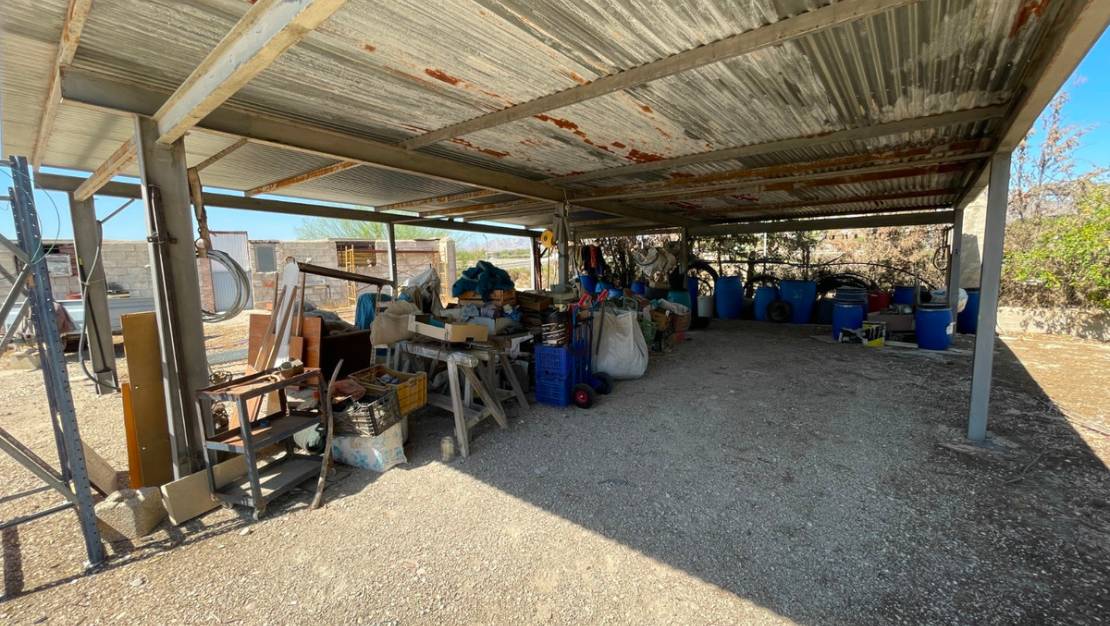 Venta - Chalet - Crevillente - Crevillent - Crevillente - Crevillent Centro