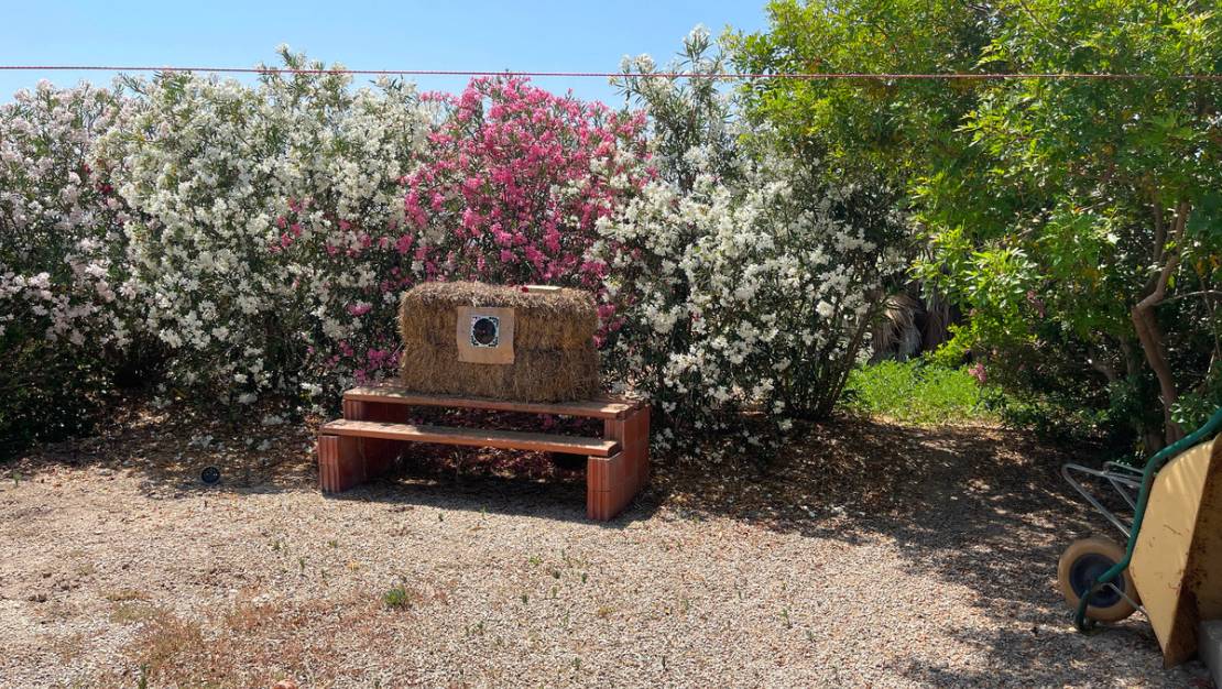 Venta - Chalet - Daya Nueva - Daya Nueva Centro