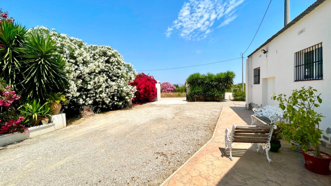 Venta - Chalet - Daya Nueva - Daya Nueva Centro